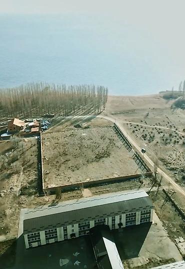 74 соток, Красная книга at lalafo.kg 74 соток, Красная книга