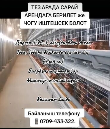 сдается бизнес: Аренда бизнеса Вместе с: Недвижимость