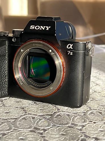 pişik şəkilləri çəkmək: Sony Alpa 7 II ➕ 28-70/3.5-5.6 lens ➕ Lens Grip ➕ 64 gb/250MB/s Heç — 6