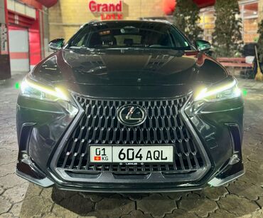 лексус 360: Lexus NX: 2023 г., 2.5 л, Автомат, Бензин, Кроссовер