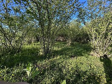 qubada torpaq sahesi satilir: 43 sot, Tikinti, Mülkiyyətçi, Kupça (Çıxarış) — 8