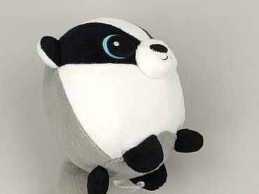 Children's Items: Mascot condition - Perfect