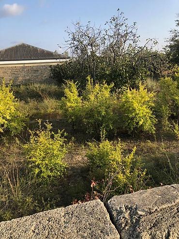 Torpaq sahələrinin satışı: 12 sot, Tikinti, Kupça (Çıxarış), Texniki pasport -da lalafo.az — 14 Torpaq sahələrinin satışı: 12 sot, Tikinti, Kupça (Çıxarış), Texniki pasport — 14