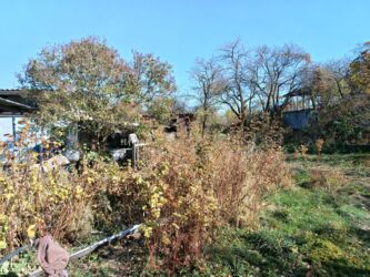 город шопоков дом: 16 соток, Бизнес үчүн, Кызыл китеп, Сатып алуу-сатуу келишими, Техпаспорт