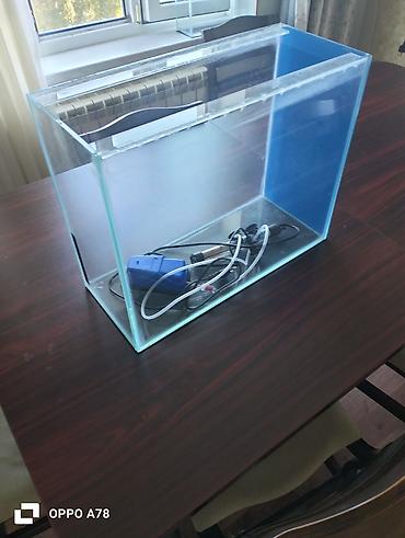 Dördbucaq akvarium, Boş, 35 l