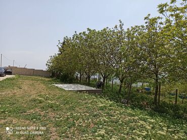 Həyət evləri və villaların satışı: 4 otaqlı, 50 kv. m, Kredit yoxdur, Yeni təmirli -da lalafo.az — 12 Həyət evləri və villaların satışı: 4 otaqlı, 50 kv. m, Kredit yoxdur, Yeni təmirli — 12