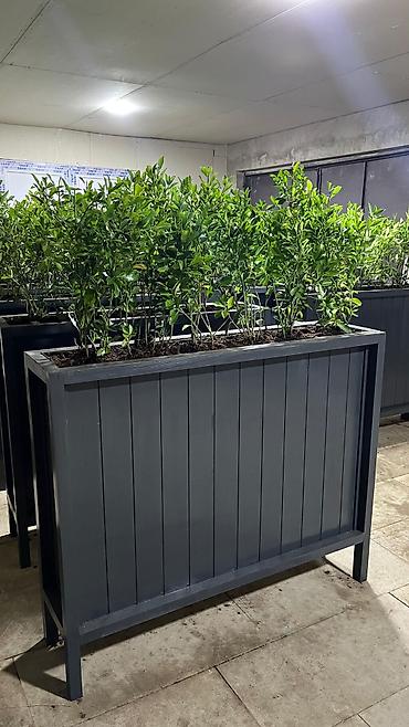 bağ üçün: 🌿 HAZIR TAXTA DİBÇƏKLƏR – SİFARİŞƏ HAZIR! 🌿 🏡 Ev, bağ, teras, balkon — 4
