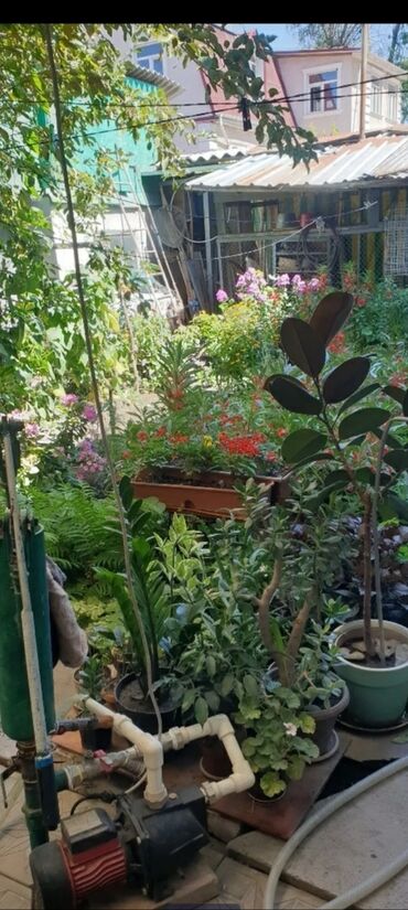 продаю дом на иссык куле село тамчы: 67 кв. м, 4 бөлмө, Унаа токтотуучу жай, Забор, тосулган