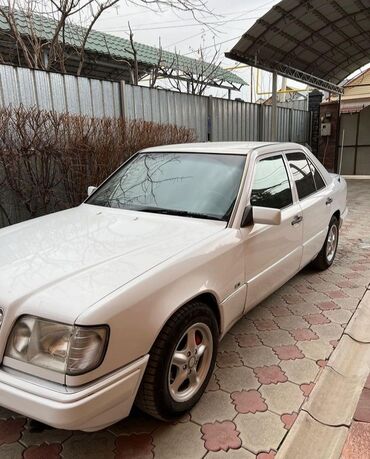 продаю или меняю с доплатой: Mercedes-Benz 300: 1993 г., 3 л, Автомат, Дизель, Седан