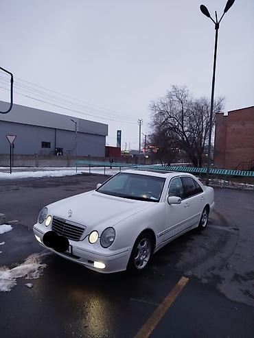 Mercedes-Benz: Mercedes-Benz E-Class: 2001 г., 3.2 л, Автомат, Бензин, Седан — 3