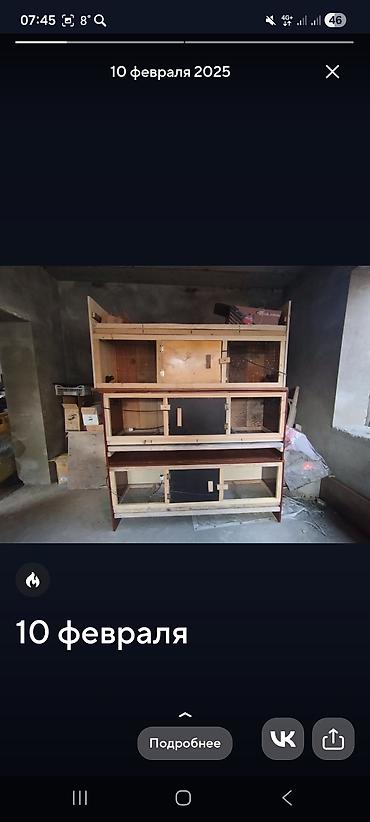 Товары и оборудование для с/х животных: Прошу уточнять наличие и читать внимательно, Брудер для — 9