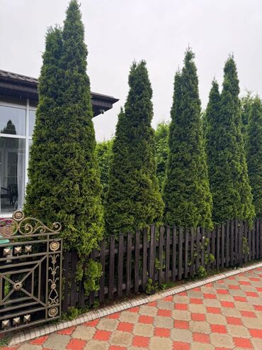 снять домик в горах бишкек: 100 м², 3 комнаты, Теплый пол, Кондиционер, Парковка