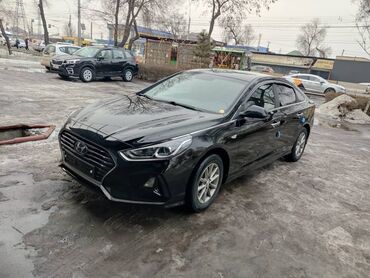 хендай соната цена бишкек: Hyundai Sonata: 2018 г., 2 л, Автомат, Газ, Седан