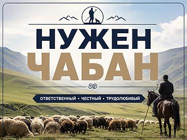 горам: Требуется Пастух, Оплата: Сдельная — 1