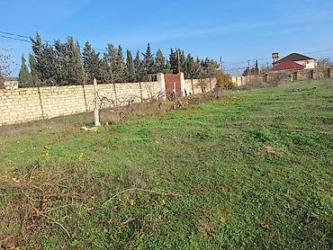 kupça: 200 sot, Tikinti, Mülkiyyətçi, Kupça (Çıxarış) — 6
