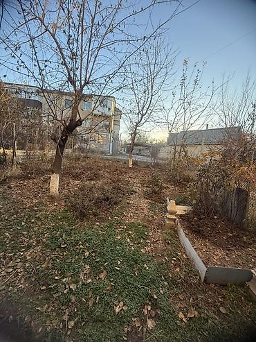 Продажа квартир: 3 комнаты, 68 м², 1 этаж, Евроремонт — 21