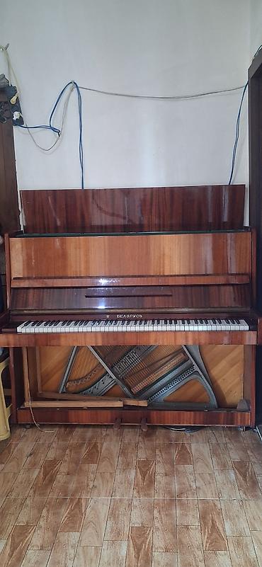 Музыкальные инструменты: Uprav pianino – şaquli model. - Korpus: parlaq cilalı təbii ağac — 7