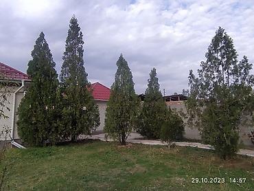 Продажа коттеджей и домов: Продаётся дом. Красная книга+тех.паспорт. - Одноэтажный жилой дом с — 4