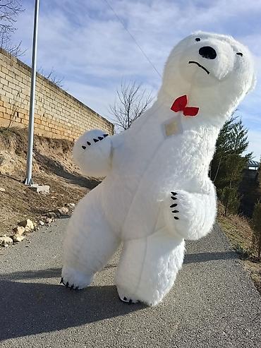 kombi və radiatorların satışı: Şou xidmətləri – nəhəng maskot ayı personajları Tədbirləriniz üçün — 3