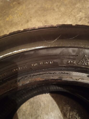 зимний резина 14: Шины 195 / 65 / R 15, Зима, Легковые, Япония, Dunlop