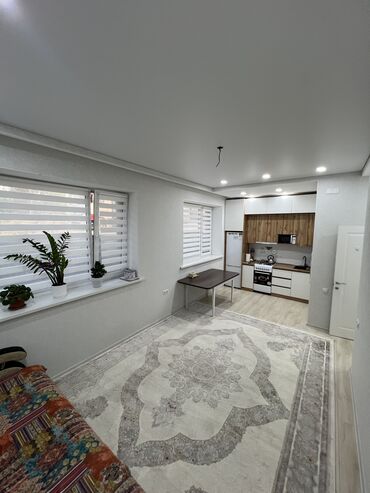 продаю квартиру район пишпек: 1 комната, 38 м², Индивидуалка, Цокольный этаж этаж, Евроремонт