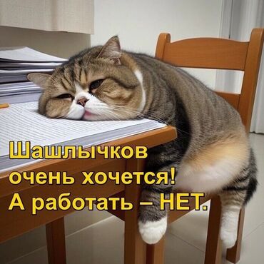 Официанты: Требуется Официант Без опыта, Оплата Каждые 10 дней