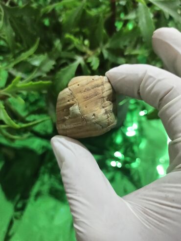 Dekorativ daşlar: Kolleksiyacılar üçün təbii Daş 💎 Kolleksiyaçılar, enerji praktikləri — 3