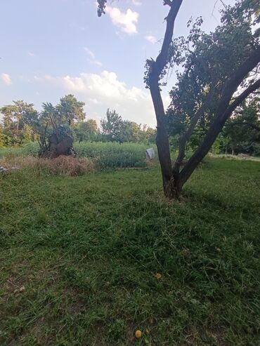 бишкек продаю дом село нижний алаарча: 24 соток, Бизнес үчүн