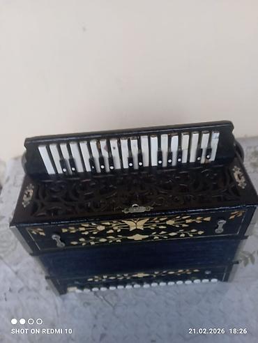 Akkordeonlar: Akustik Akkordeon — 3