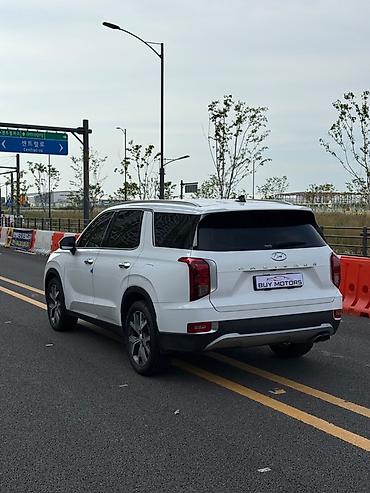 секс корейа: Hyundai Palisade: 2020 г., 2.2 л, Автомат, Дизель, Кроссовер — 8