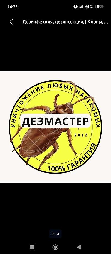 антижучок бишкек: Дезинфекция, дезинсекция, | Клопы, | Подвал, погреб — 4