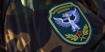 Вышивка: Компьютерная вышивка, Тамбурная вышивка | Платья, Штаны, брюки, Куртки — 12