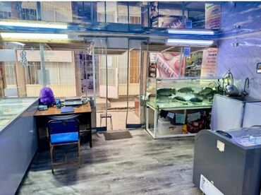 помещение в тц: Продается мясной специализирующийся на продаже свежего мяса и рыбы