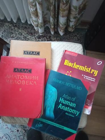 Медтовары: Атлас анатомии" Фрэнка Неттера вот уже более 30 лет является лучшим и — 3