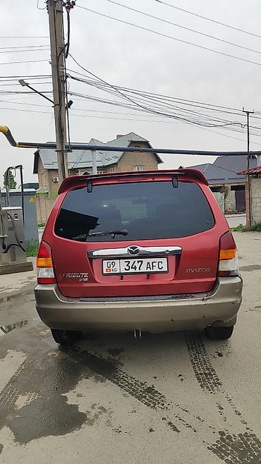 mazda 626 старушка: Mazda Tribute: 2002 г., 3 л, Автомат, Газ, Кроссовер — 6