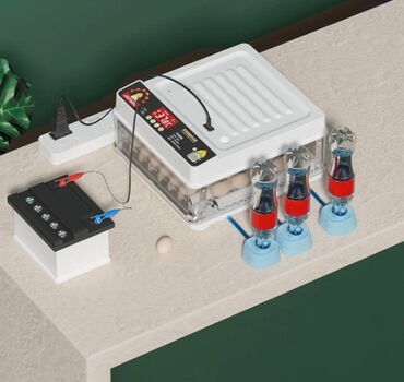 Oprema za kućne ljubimce: INKUBATOR Automatski nove generacije za 130 jaja 12v/220v — 5