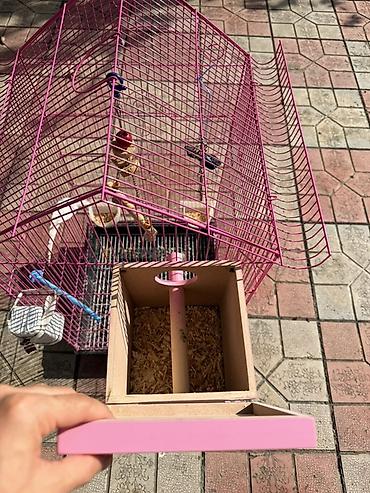 bakida it barinagi: Quş qəfəsi və aksesuarlar paketi - Rəng: çəhrayı metal karkas, damlı — 6