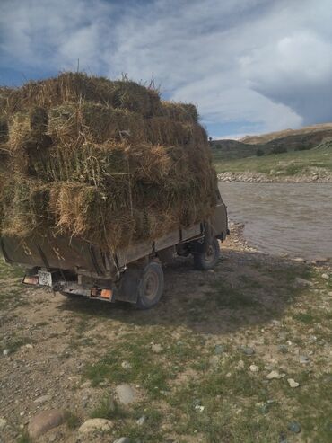 авто аксессуары: УАЗ 452 Buhanka: 1984 г., 2.4 л, Механика, Бензин, Van