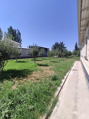 участок 3000: 📍 В Сокулуке в селе Саз продается 40 соток по факту 45, 130 кв.м. 🏡 — 4