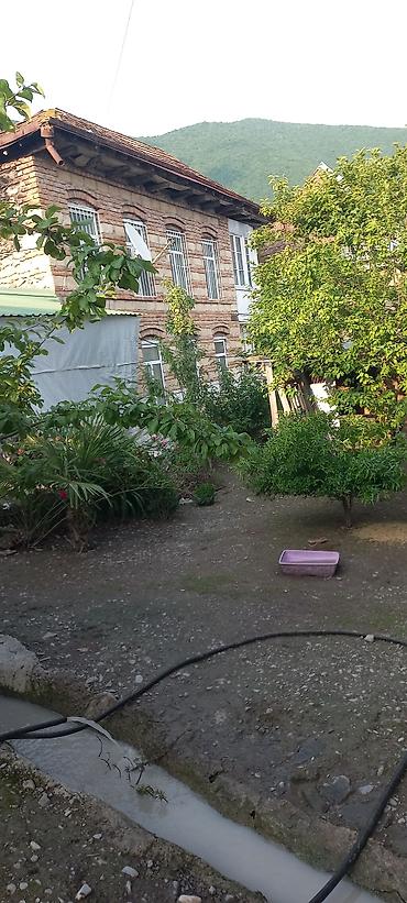 Həyət evləri və villaların satışı: Şəkidə, Doduda 4.4 sotda yerləşən iki ev. biri köhnə tikili yaşayış — 12