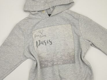 Hoodie: Hoodie, Atmosphere, L (EU 40), condition - Good