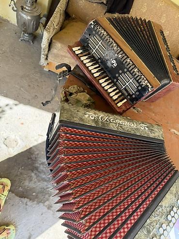 akkardion: Harmonik/akkordeon dəstləri - Alət tipi: dilçəkli harmonika — 2