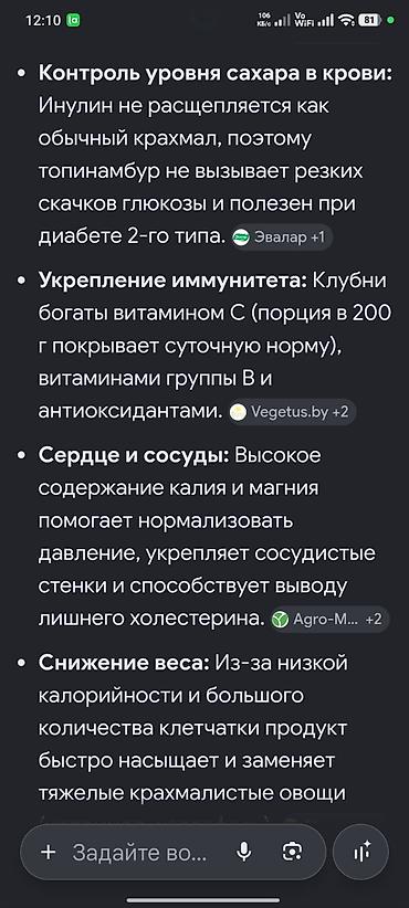 актриса картошка: Топинамбур (земляная груша), свежий урожай.Оптом 10 кг. Нижняя — 6