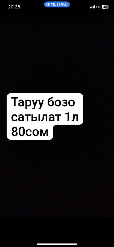 продаю тёлок: Тааруу бозо сатылат -1 литр . Бишкек шаары 
чалыныздар