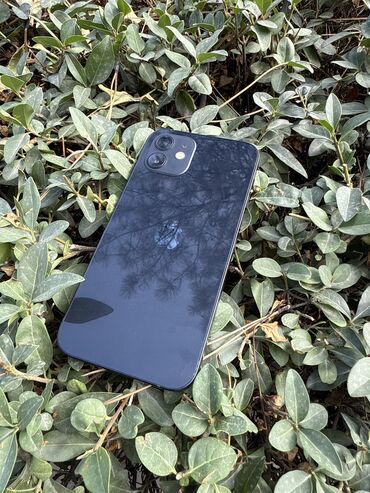 зарядка для айфона 12 оригинал: IPhone 12, Б/у, 128 ГБ, Синий, 83 %