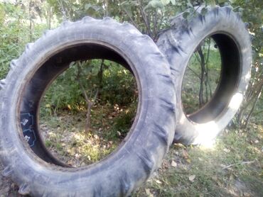 ismayilli buynuz kendi: Xüsusi texnika