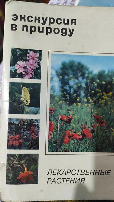 Другие товары для дома: Антикварные вещи at lalafo.kg — 21 Другие товары для дома: Антикварные вещи — 21