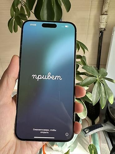 Apple iPhone: IPhone 15 Pro Max, Б/у, 256 ГБ, Natural Titanium, Чехол, Коробка, 88 % — 1