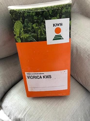 Люцерна: Продаю/куплю семена люцерны и свеклы — 17