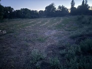 роял парк: 🏡 Продаётся дом в селе Степное!! г.Кара - Балта 📍 Участок с домом — — 10